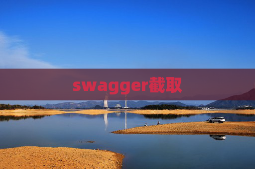 swagger截取